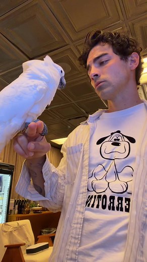 Joe Jonas Concert Highlights and Passionate Moments