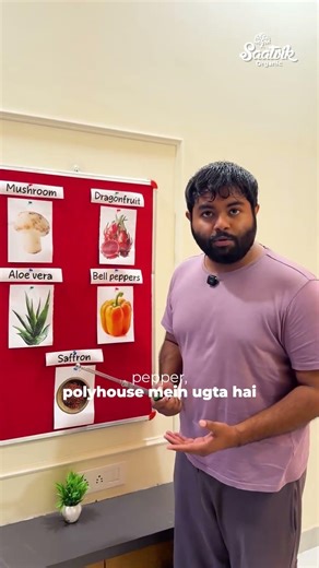 5 Sabse Zyada Profitable Crops in India | 1 Acre = Lakhs Income