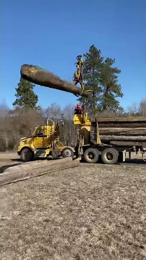 Self Loading Logging Truck AMAZING! #Shorts