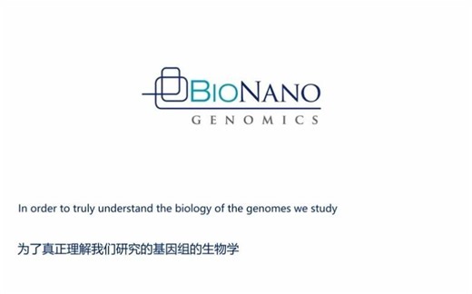 Bionano基因组分子图谱技术原理