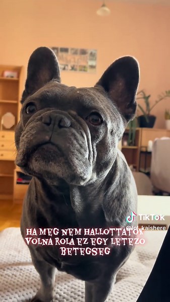 Gyorsan orvosoltuk a problemat