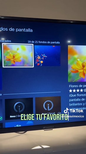 Cambia el tema de tu Sansui Roku TV esta primavera
