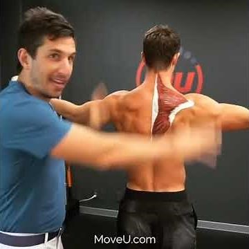 Mid back Pain and Weakness? Activate the Lower Trap -MoveU