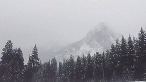 36K views · 1.1K reactions | Snoqualmie Pass: A winter wonderland. ❄️ Even Seattle saw snowfall today!  What does it look like around your home? >> kiro.tv/SnowChance | KIRO 7 News | Facebook