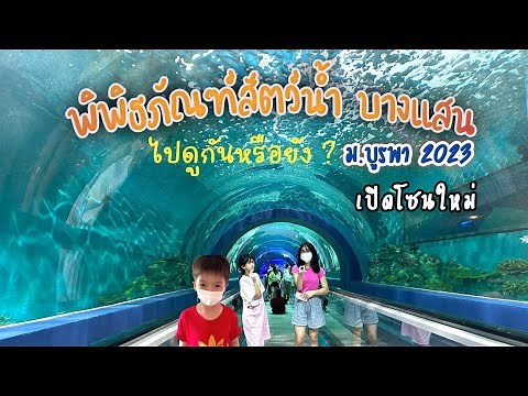 เที่ยวชลบุรี พิพิธภัณฑ์สัตว์น้ำบางแสน เปิดโซนใหม่ 2023
