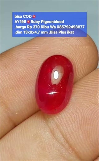 bisa COD💥AY196💥Ruby Pigeonblood,harga Rp 370 Ribu Wa 085792493877,dim 13x8x4,7 mm ,Bisa Plus ikat