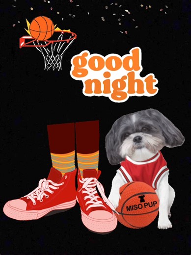 3.9K views · 69 reactions | #lhasapoo #goodnight #weekendvibes #basketballislife | Diamond Bar Kennel | Facebook