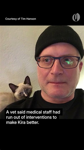 Cat food company founder says food didn't kill cat, euthanasia did