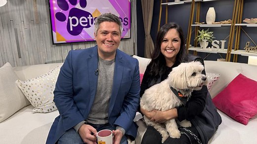 Pet Suites offers premium pet care with luxury suites and webcams