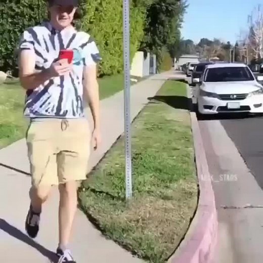 zebra_funny_qq on TikTok