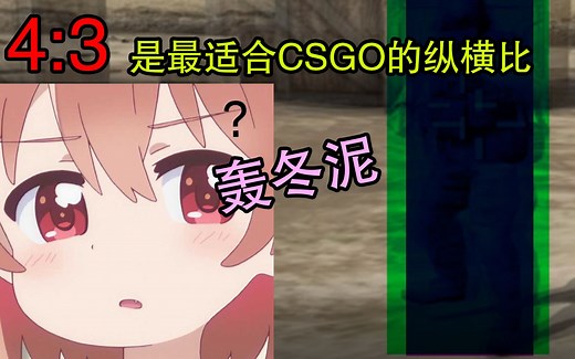 【CSGO】4:3是最适合的纵横比？用相声给你详细分析各类分辨率和纵横比优劣