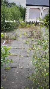 Armadillo security system | Abandoned UK