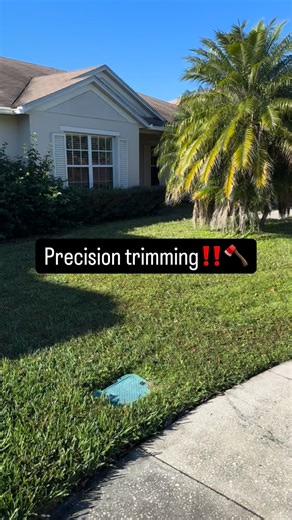 🌟 Our Services Include: 🌳 Tree Removal: Safe and efficient removal of unwanted or hazardous trees ✂️ Tree Trimming: Keep your trees healthy and beautiful ⚙️ Stump Grinding: Say goodbye to those pesky stumps! 💪 Grapple Service: Heavy lifting made easy! 🪓 Precision Shrub trimming! We have the angles! 🍂 Leaf Removal: Keep your yard clear and tidy 🗑️ Junk Removal: We help you declutter! 407.556.5182 #eastorlando #icuttreesllc #homeadvisor #stumpgrinding #orlando | I Cut Trees LLC