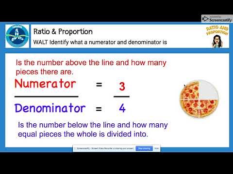 Identify what a numerator and denominator is.