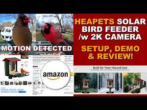 Heapets 2k Smart Camera Bird Feeder Setup & Review. #madreviews #heapets #birdfeeders #amazonreview