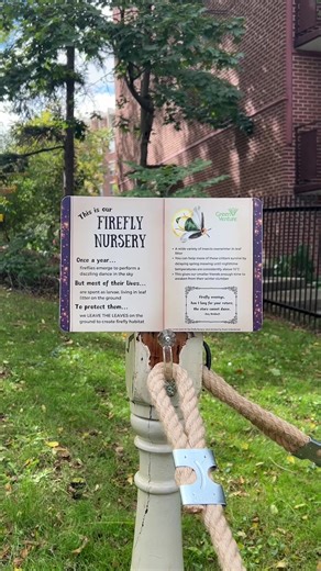 Did you know fallen leaves help fireflies grow? 🍂✨ Our Firefly Nursery is a cozy habitat for these glowing wonders! 🌿✨ But they’re not the only ones—many other critters rely on leaf litter to survive the winter. 🐛🍃 Learn how you can support local wildlife with simple actions.#fall #nature #wildlife #naturevibes #animals #localnature #urbanwildlife #fyp #foryou Alt Text: Shot 1: Firefly nursery sign in an outdoor setting, attached to a pole with ropes outlining a protected area. Shot 2: Color