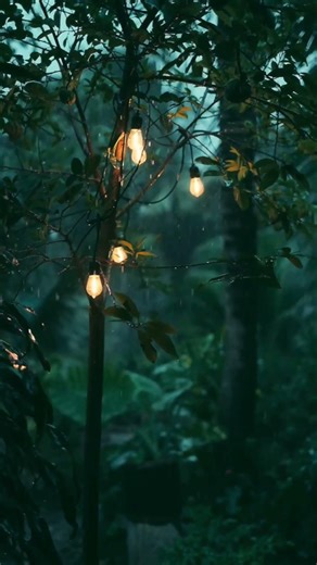 Rainforest Rain Sounds 🌧️and Music for Sleeping & Relax | 30s Calm Escape