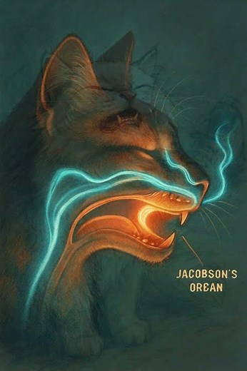 Why Does Your Cat Make That Weird Face? The Flehmen Response Explained!