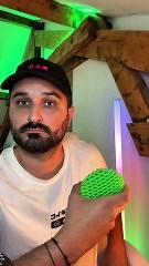 tamanoir et la fourmi rouge