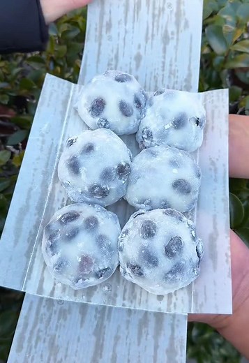 愛知県の特大黒豆大福を楽しもう