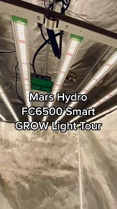 🌟 Check out the Mars Hydro FC 6500 and tent setup! 🌱 With full-spectrum lighting, it's perfect for all stages of plant growth. 🌞 What do you think of this setup? 💬 Explore more ➡️ https://www.mars-hydro.com/fc6500-5x5-grow-tent-ifresh-kits #MarsHydro #FC6500 #GrowTent #FullSpectrum #IndoorGardening #PlantLovers #GreenThumb | Mars Hydro LED