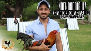 250K views · 18 reactions | Criadero RC FARM - Noel Rodriguez | Granja Maverick | Facebook