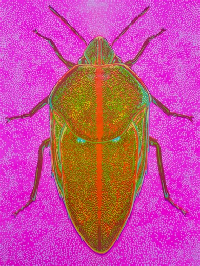 Bug-tastic art: UH museum hosts first-ever insect art show in October