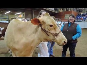 Harris Competes in Farm Show Cow Milking Contest
