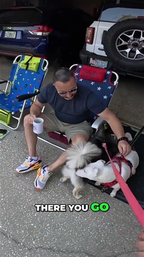 Meet Skip & Sky: Garage Doggo Greetings & Fun! #shorts