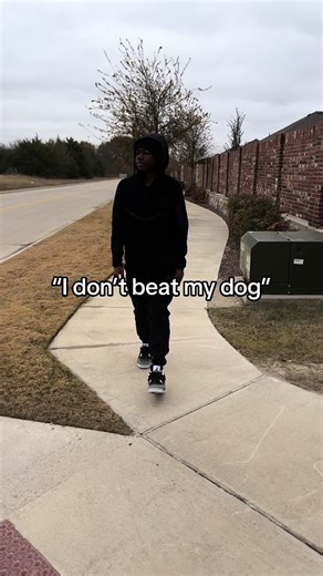 Funny Road Trip Stories and Bacon Cravings