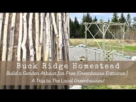 Build a🪴DIY Arbor Trellis Free For the Garden/Garden Arch from Trees/Greenhouse Tour of Inspiration