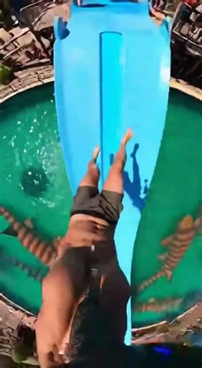 Waterslide into pool full of giant fish #funny #memes
