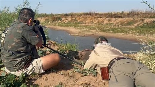 Short video clip of another croc hunted at Legadema's Mozambique concession. | Legadema Hunting & Safaris - Mozambique & South Africa