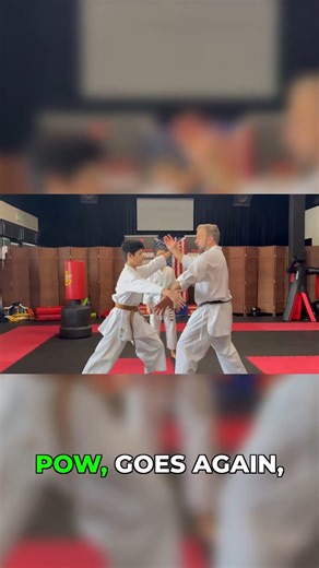 3 Self-Defense Applications for One Move!