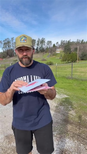 Create Stunning Flower Pop-Up Cards for Special Occasions