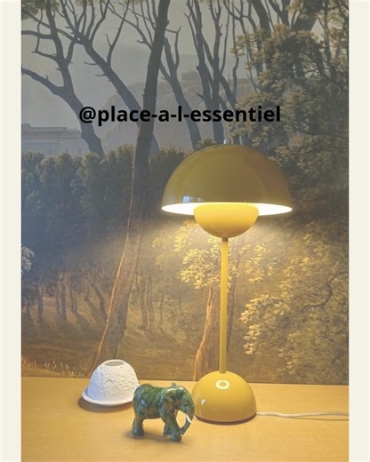 Lessive en feuille : adoption ou illusion ? Vos avis m’éclairent. #nouvellevieaprès50ans #désencombrement #desencombrement #rangementoptimisé | Place à l'Essentiel