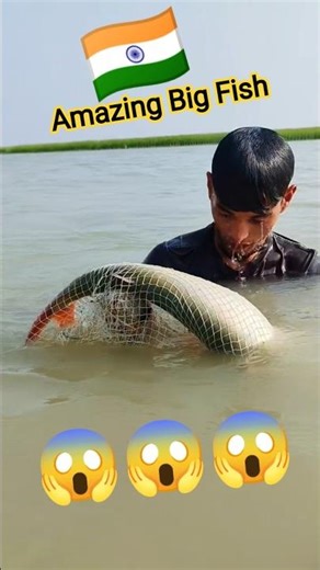 Indian Village Boy Catches The Biggest Fish Of The River!! #villagelife #fishing #shorts