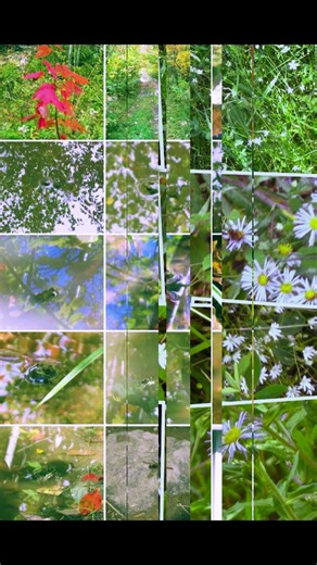 Fall Highlights 2025-Ringing bell sound effect in slow motion on Clipchamp