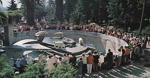 Vancouver architect wants to turn abandoned polar bear habitat into spa