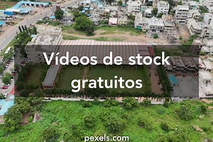 ol%2Bproject%2Bartofzoo