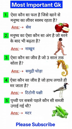 291K views · 825 reactions | General knowledge hindi on Reels | Facebook