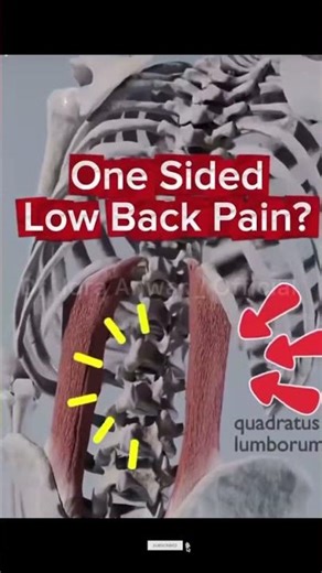 One sided Low Back Pain ? #lowbackpain #short #viral