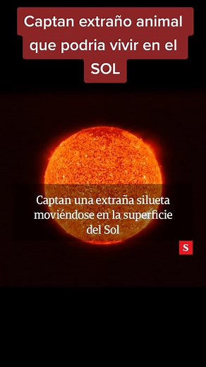#sol #increible #insolito podria ser una extraña criatura viviendo en el sol