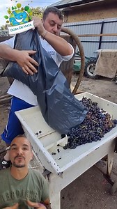 246K views · 1.6K reactions | Cum poti face mustul cu usurinta? Aparatul de zdrobit automat! #tricks #must #struguri #zdrobitor #machinery | Doza de Viata | Facebook