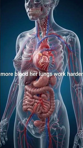 What Happens to a Mother's Body During Pregnancy? 🤰 Amazing Changes Explained