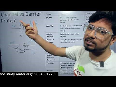 Uniport, symport and antiport transport