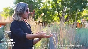 High Country Gardens TV Spot, 'Plants With a Purpose'