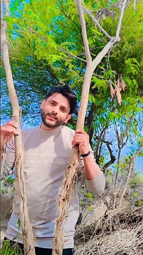 Dil Ne Ye Kha Hai Dil Se ♥️ #love #trending #shortsfeed #viralshort #shorts #song