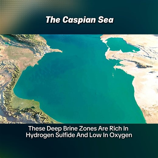 Is It a Sea or a Lake The Caspian's Hidden Worlds Revealed 🌊 HASHTAGS #CaspianSea #LargestLake #Oceanography #Eurasia #DeepSeaDiscovery | Top Findings