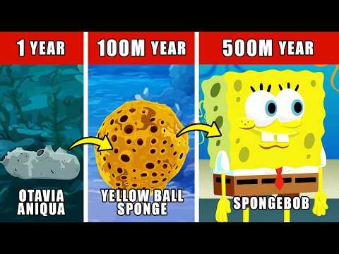 Spongebob Origin Evolution: How Spongebob could have Evolved